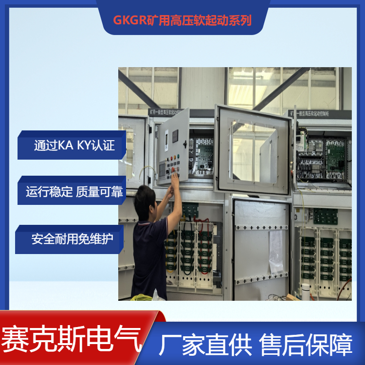 礦用可控硅高壓軟啟動柜 賽克斯廠家直供 價格合理